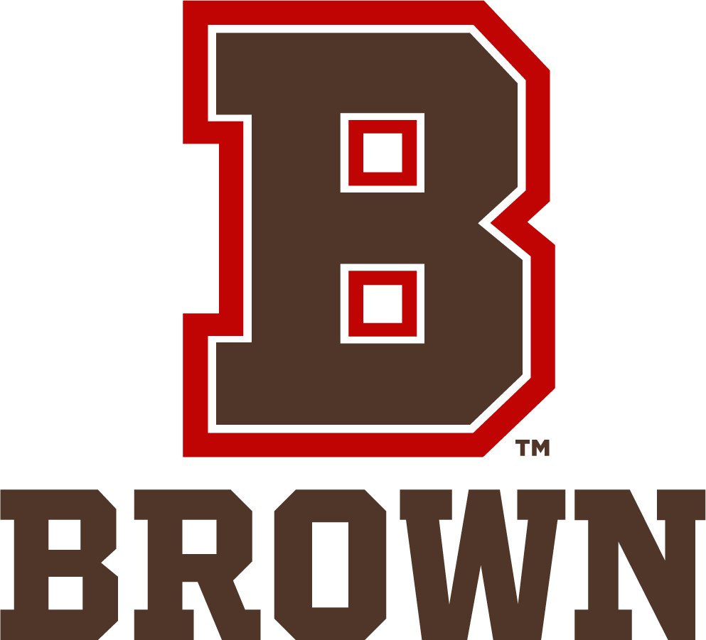 Brown Bears 2022-Pres Alternate Logo v2 diy DTF decal sticker